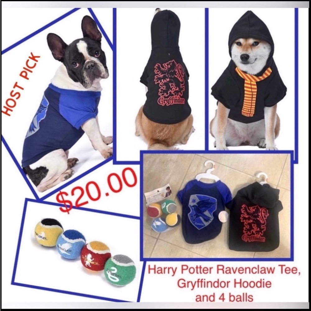 Harry Potter Wizarding World Gryffindor Hoodie, Ravenclaw Tee & Balls 4 Pack